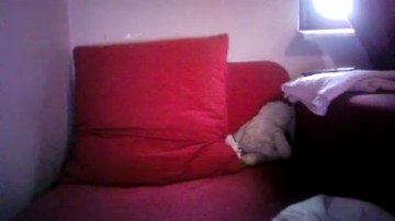 JennyBlue  08-12-2021 suckfeet Female